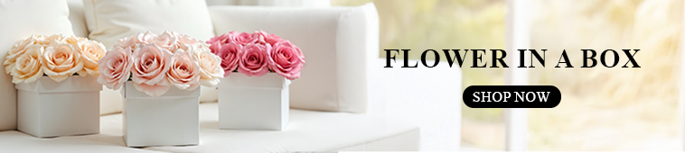 Flowers in a Box delivery