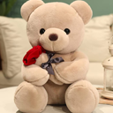 Teddy Bears  Delivery