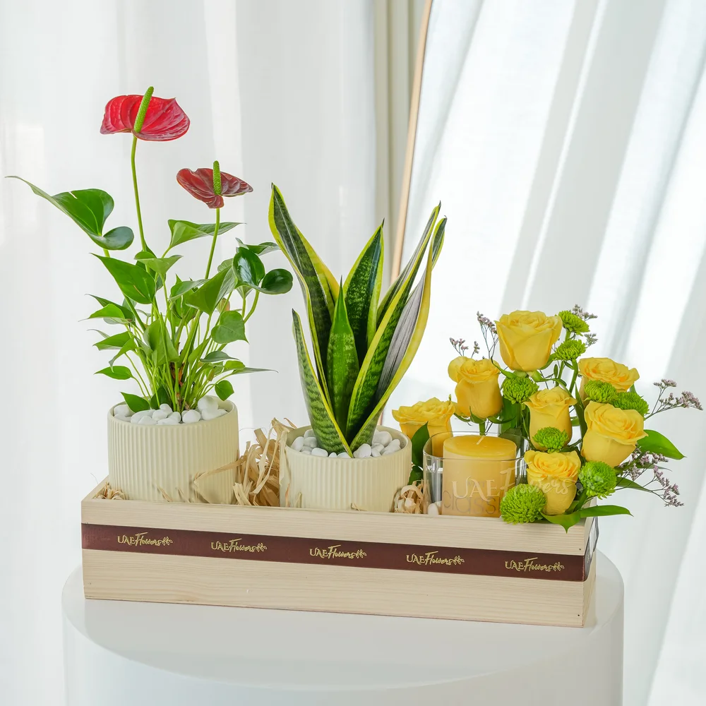 Little Garden Hamper