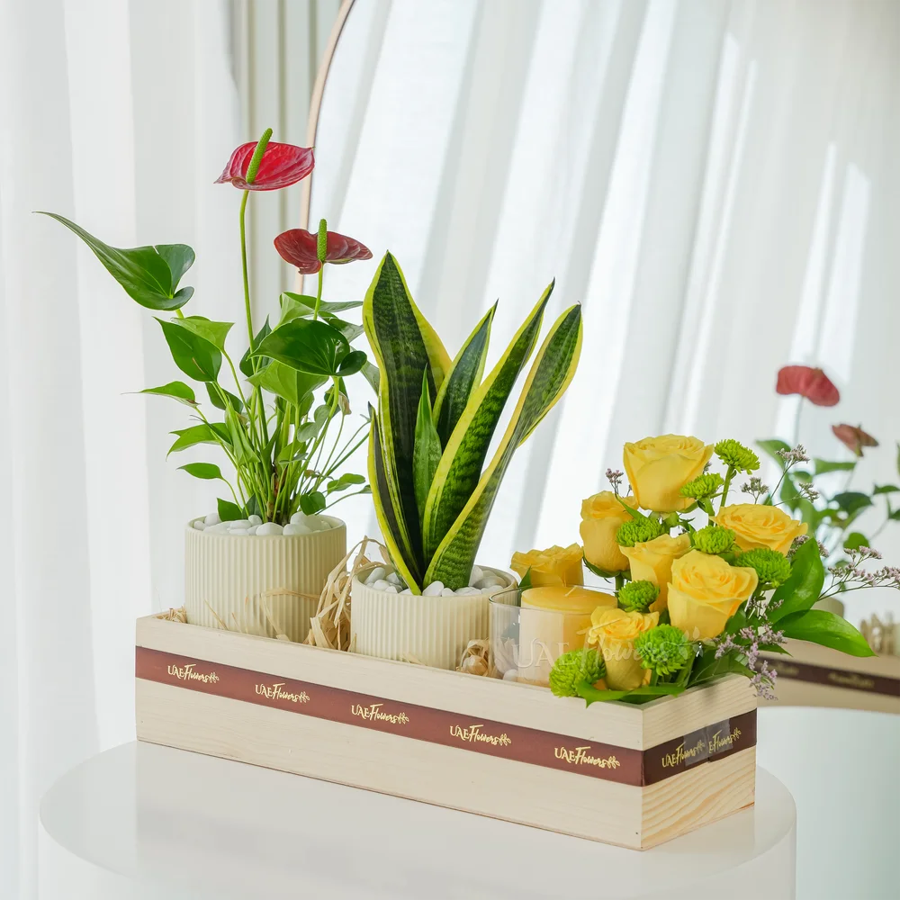 Little Garden Hamper