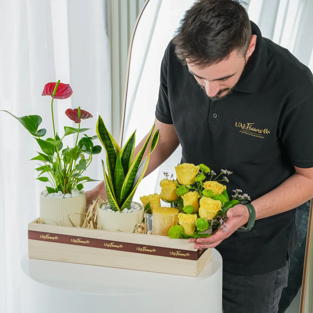 Little Garden Hamper
