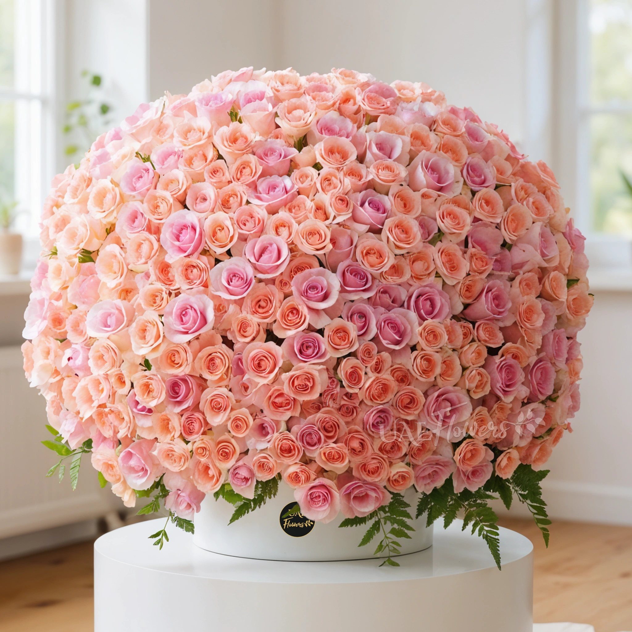 Round Arrangement of 300 pink roses with fillers in the box