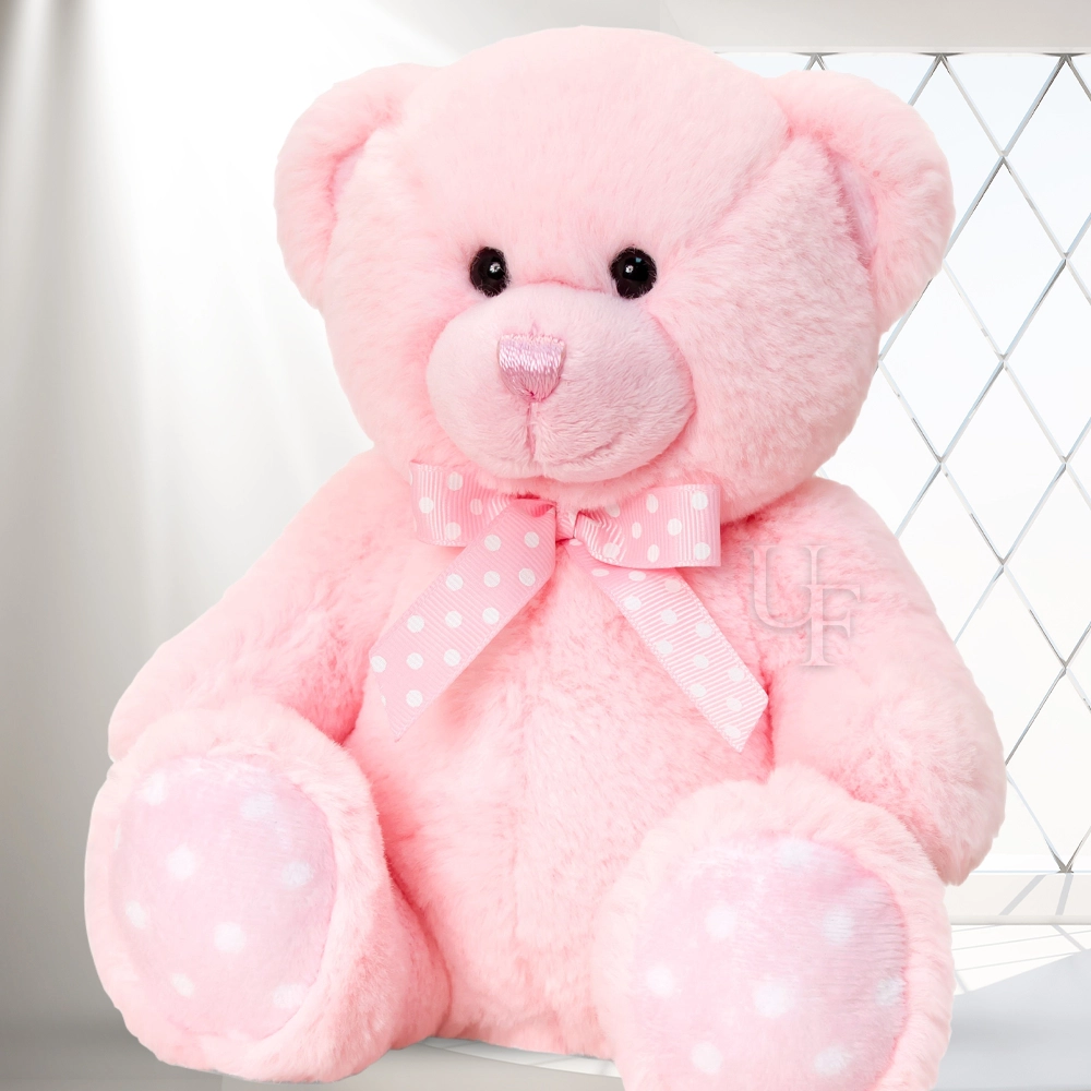 Medium Size Pink Teddy bear
