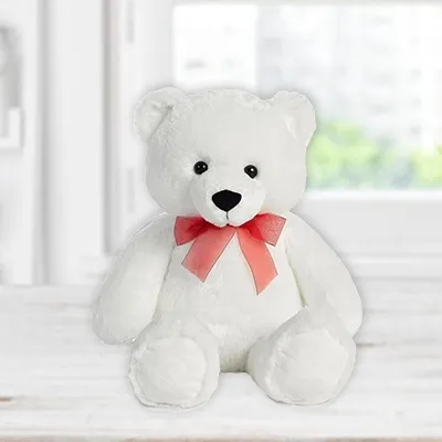 Small White Teddy Bear