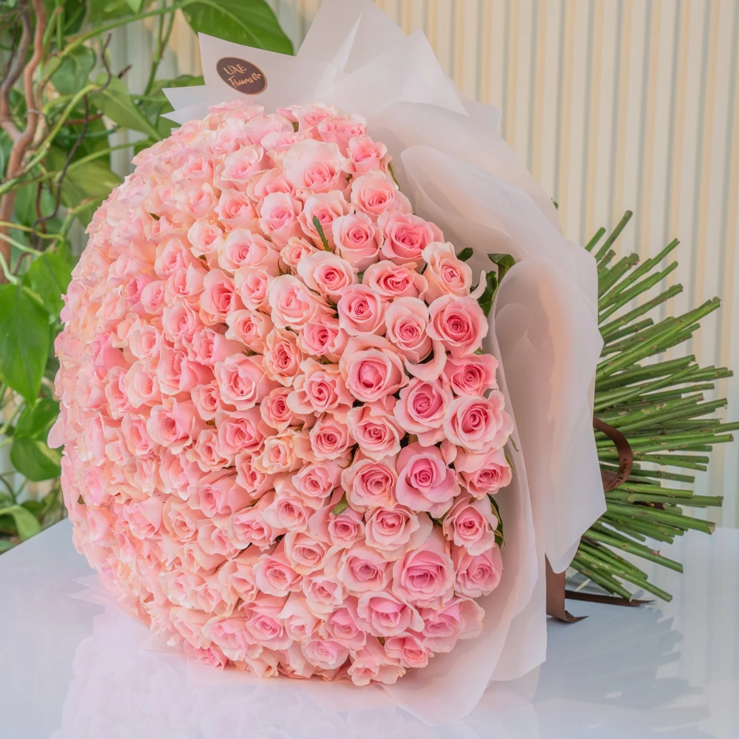 A handtied bouquet of 200 pink roses wrapped in pink.