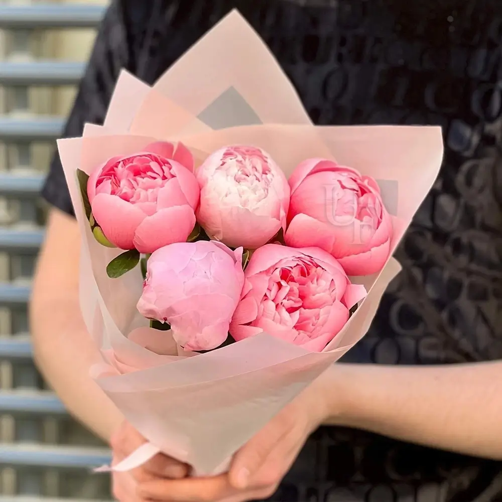 Bouquet of 5 Pink Peonies