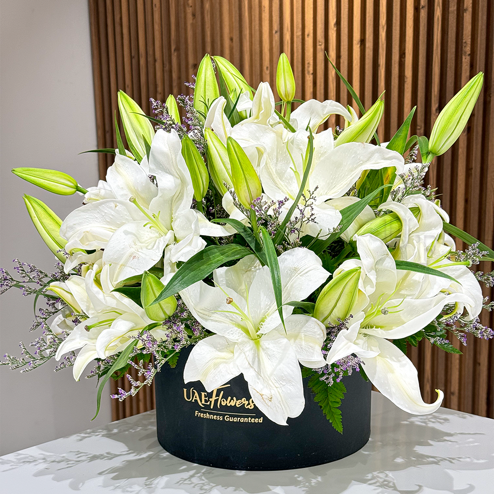 An arrangement of 6 White Lilies with limonium and green fillers in a black box