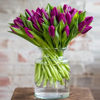 30 stems of Purple tulips with fillers in a glass vase