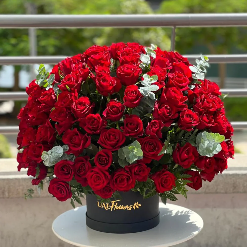 200 stems of red roses with eucalyptus leaf in a black box.