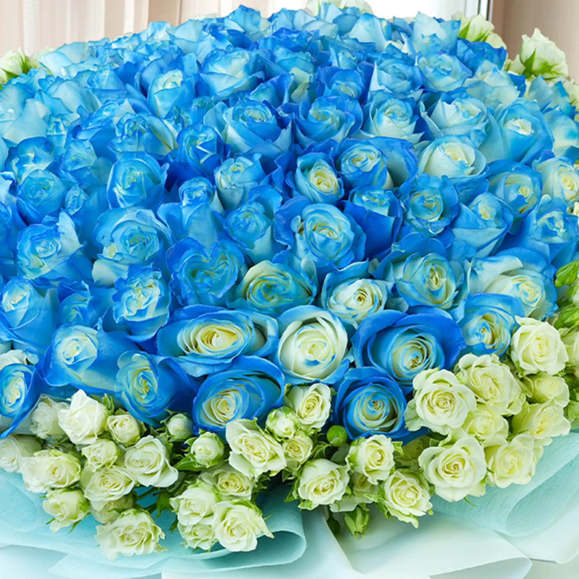 Bouquet of 100 blue roses with 50 white spray roses