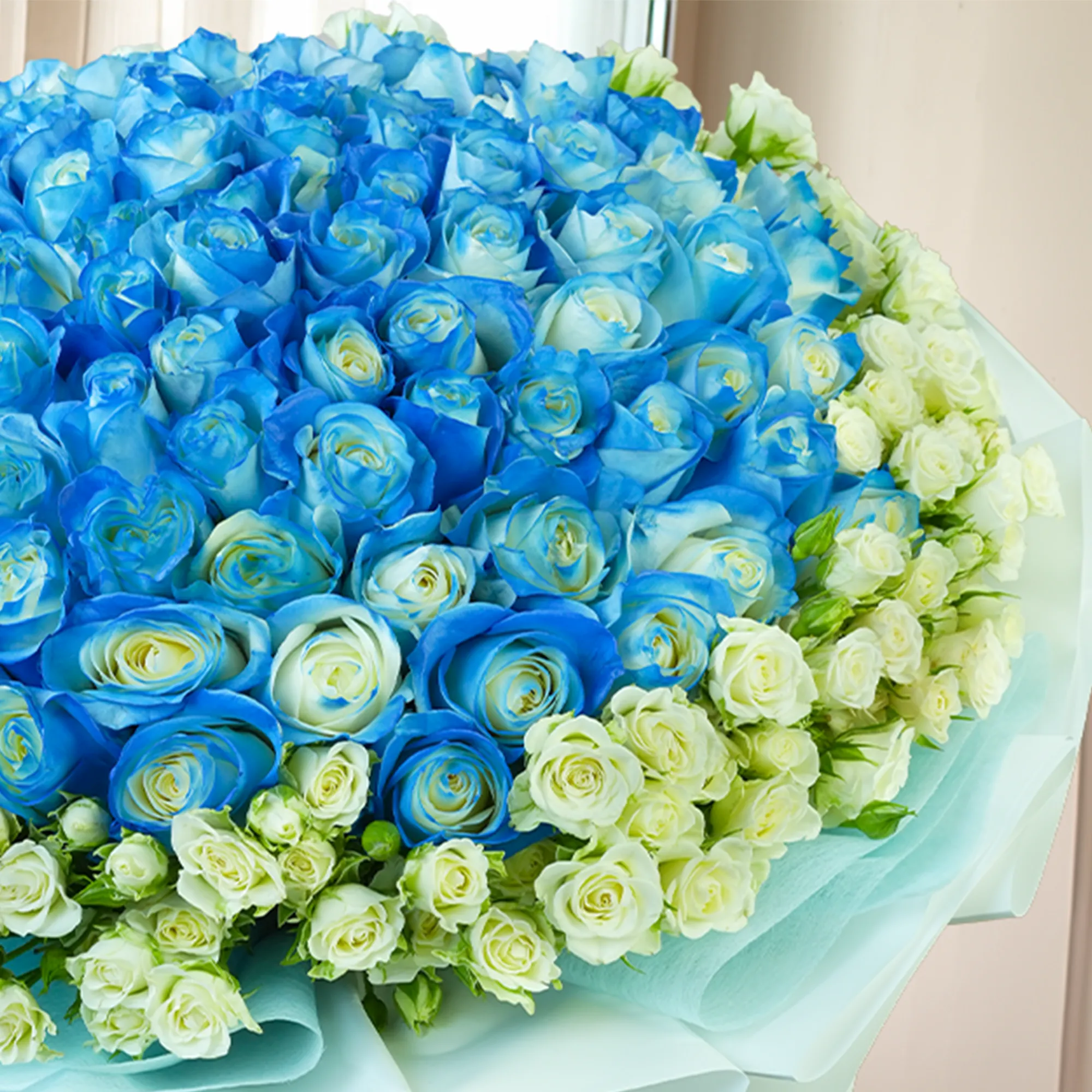 Bouquet of 100 blue roses with 50 white spray roses