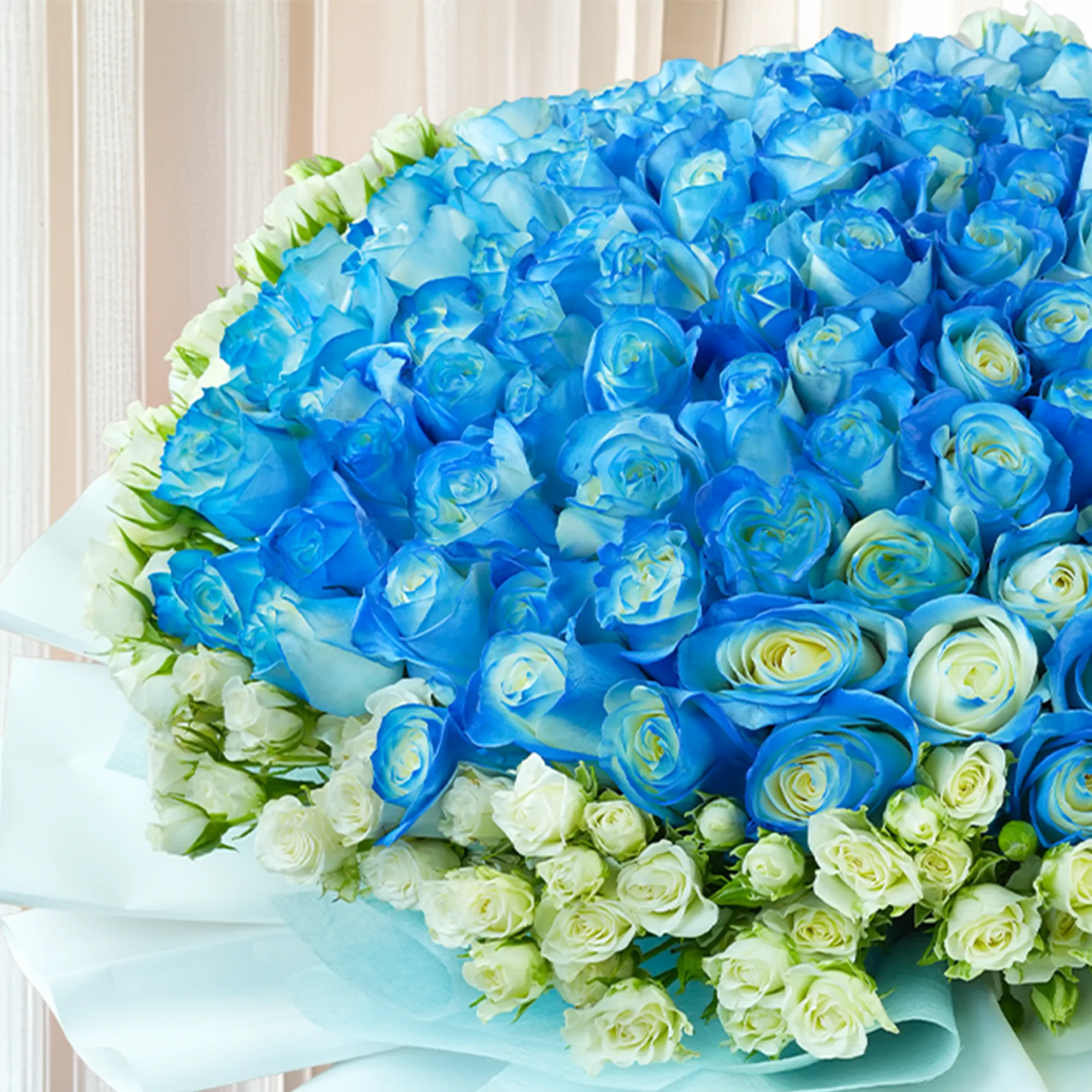 Bouquet of 100 blue roses with 50 white spray roses