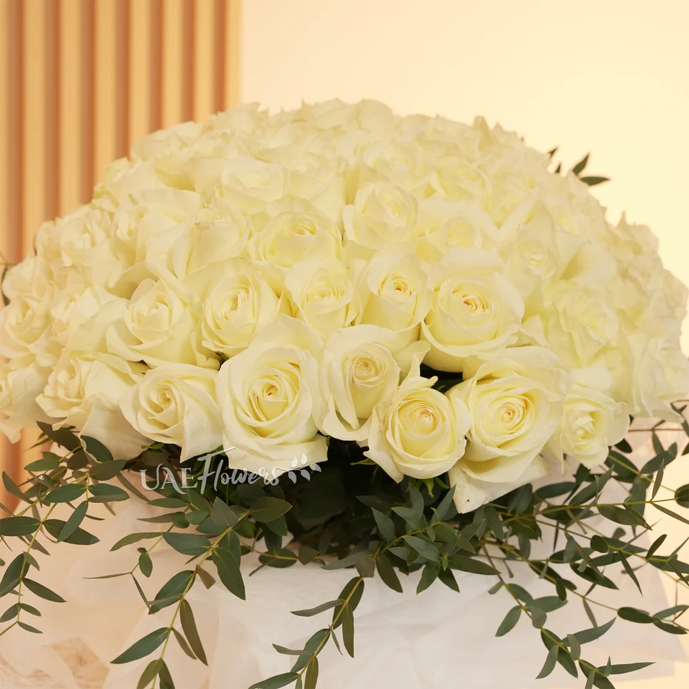 Bouquet of 40 White Roses with nice wrapping