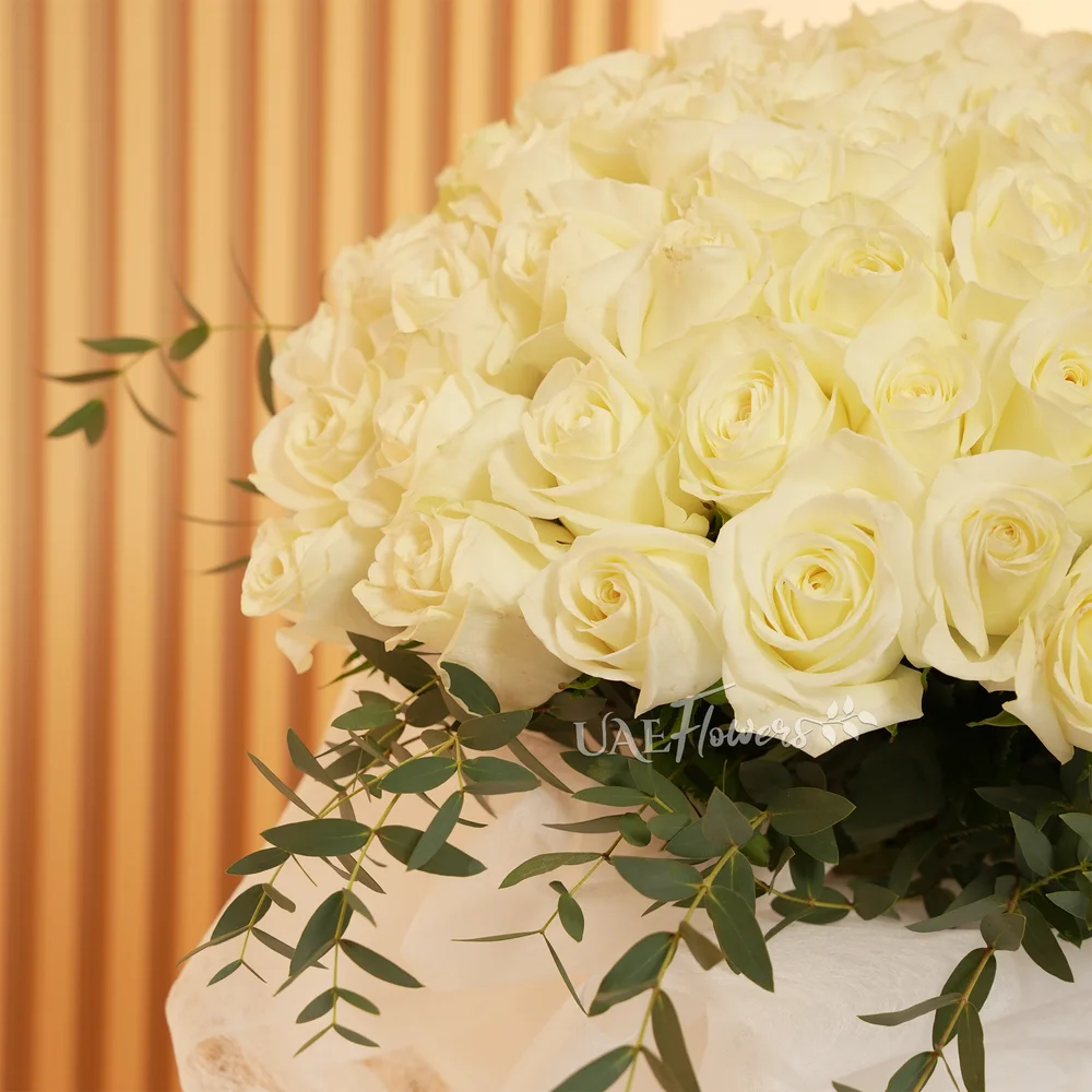 Bouquet of 40 White Roses with nice wrapping