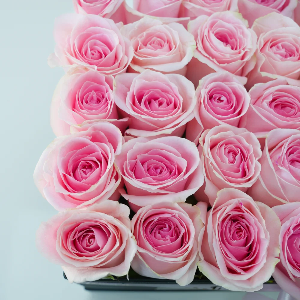25 pink roses in a square box