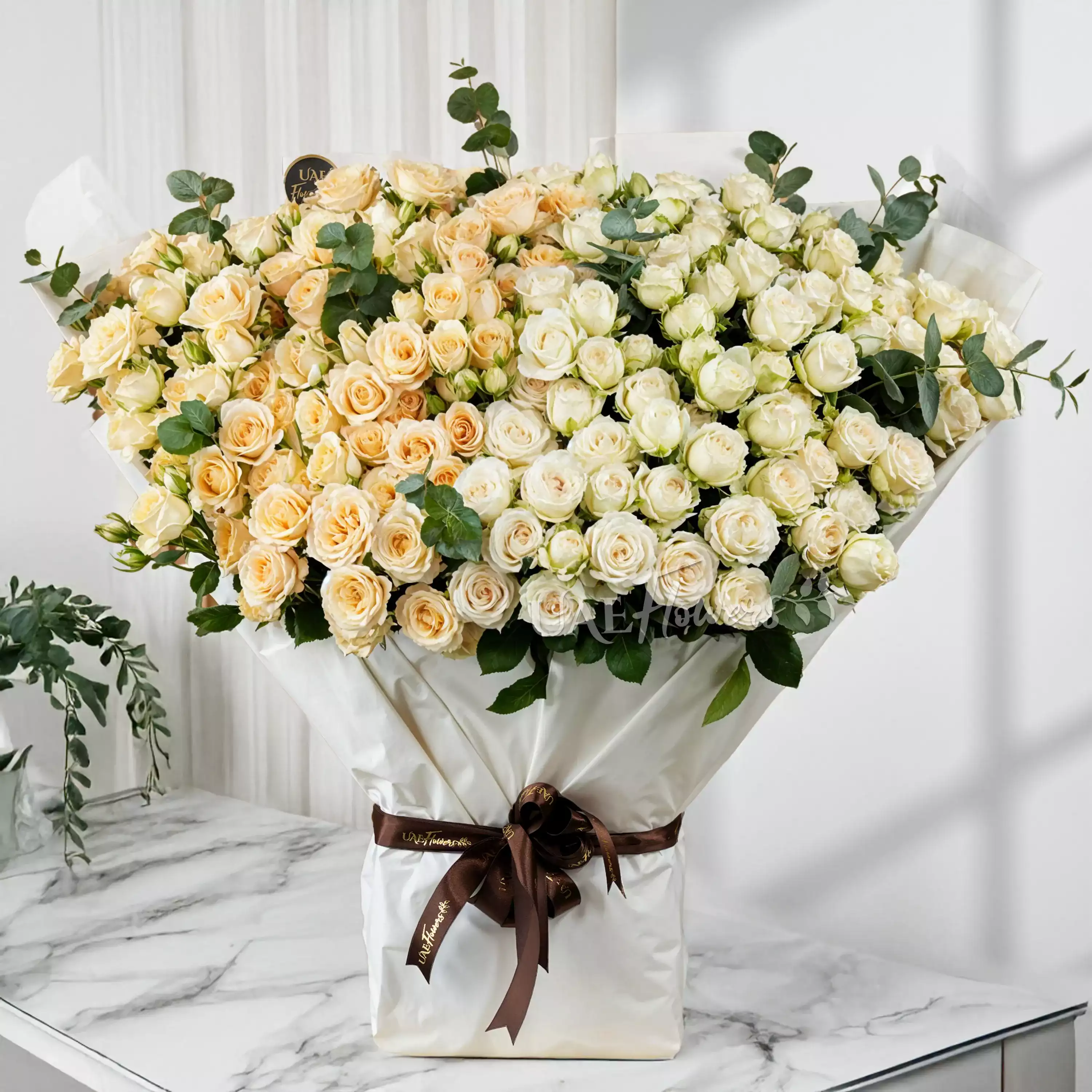 Bouquet of 20 peach spray roses and 20 white spray roses with green fillers tied with ribbons.