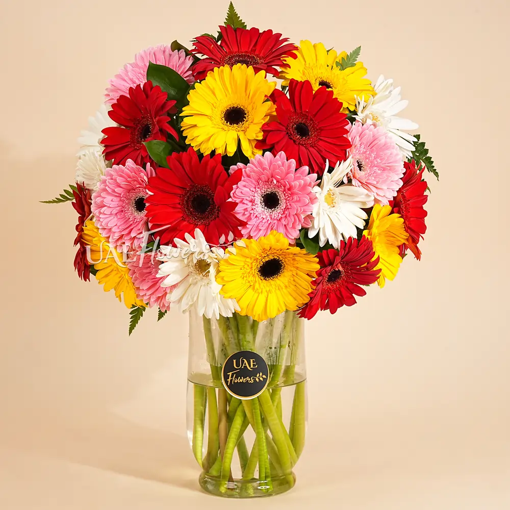 Mixed color gerberas in vase