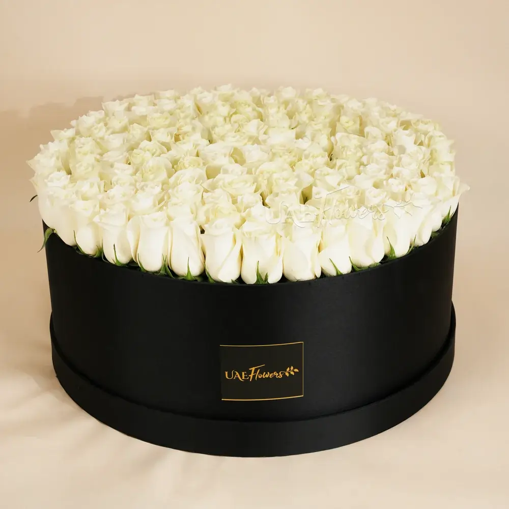 A box arrangement of 240 white roses