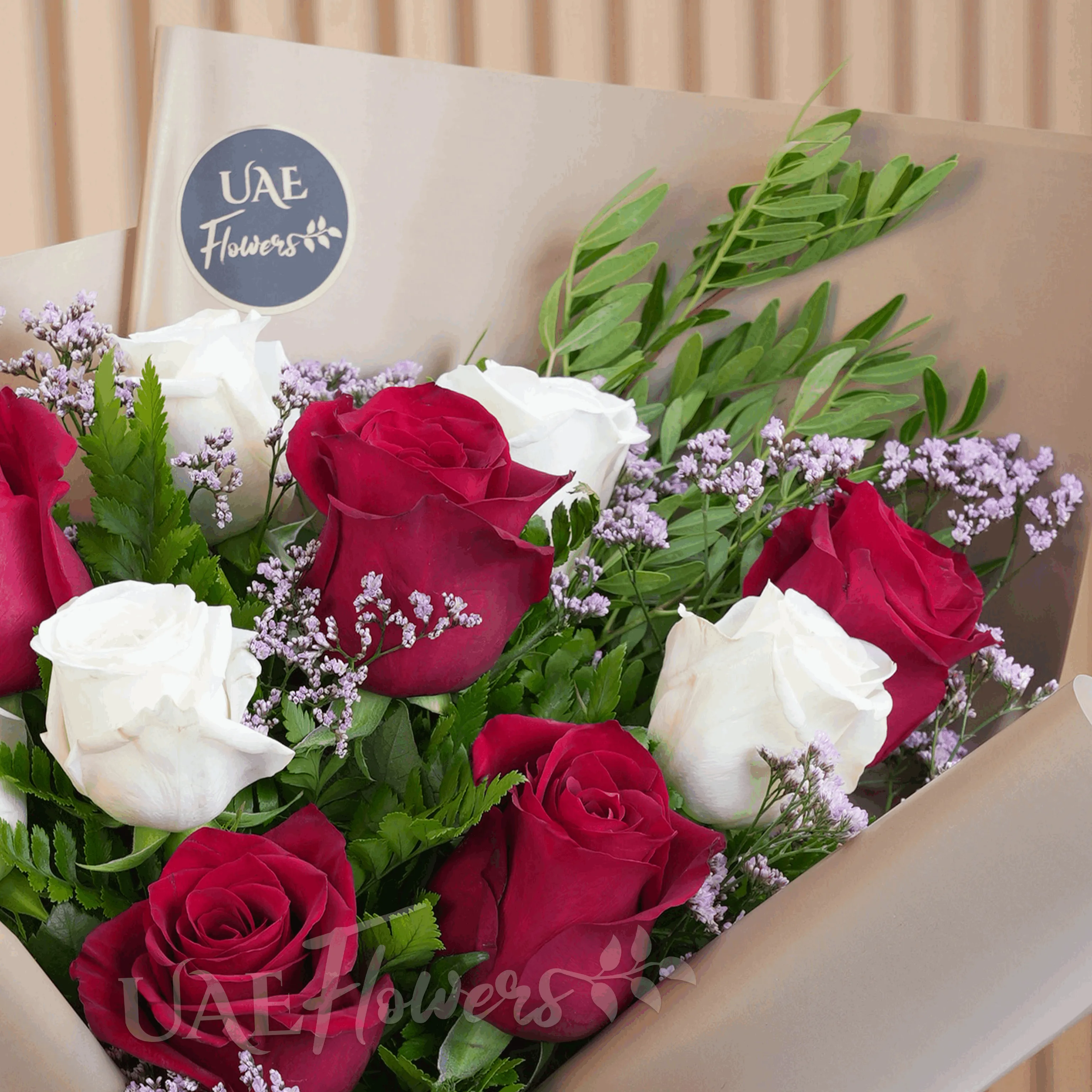 Bouquet of 10 red and white roses with green fillers in wrapping paper and tied with ribbons.