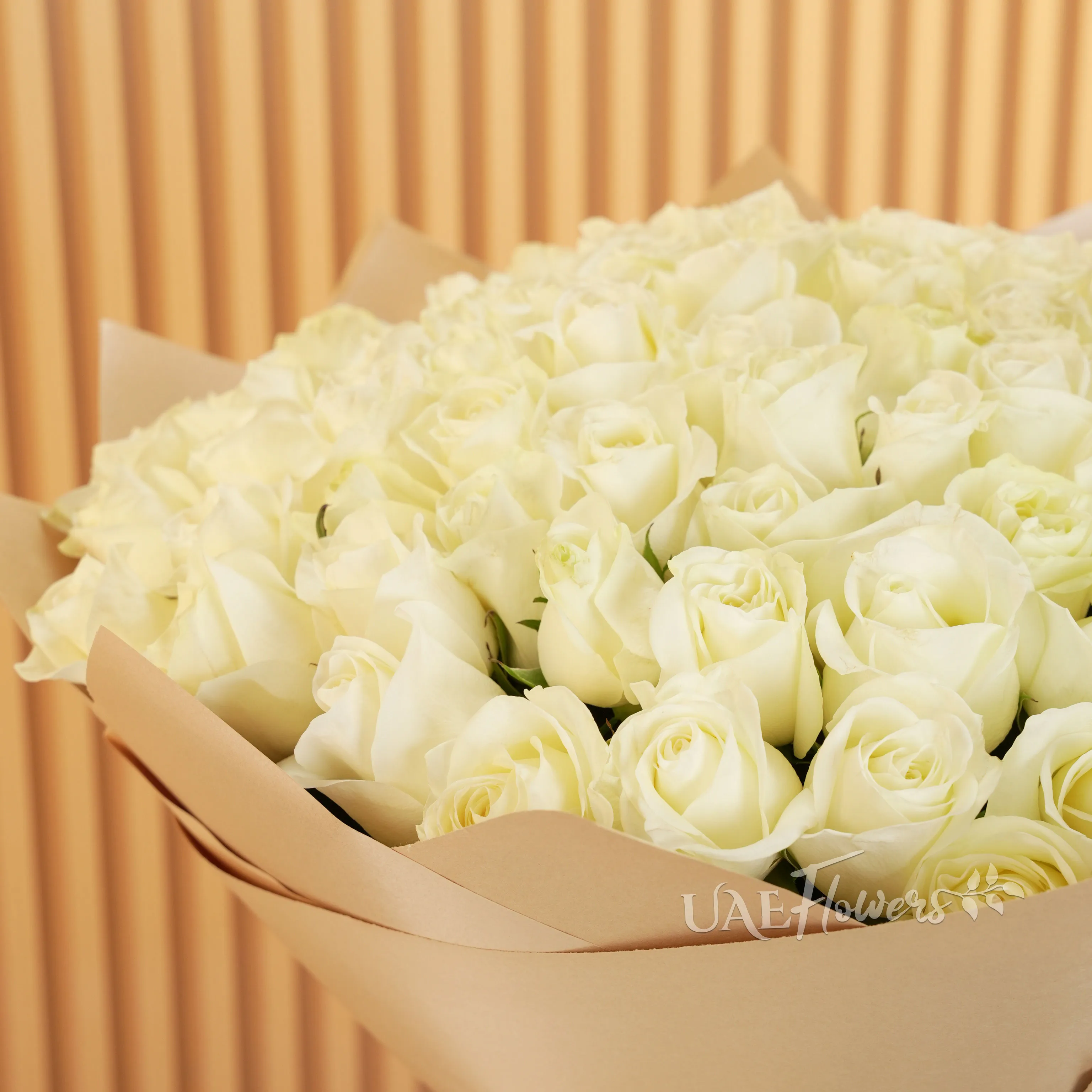 Bouquet of 100 White Roses
