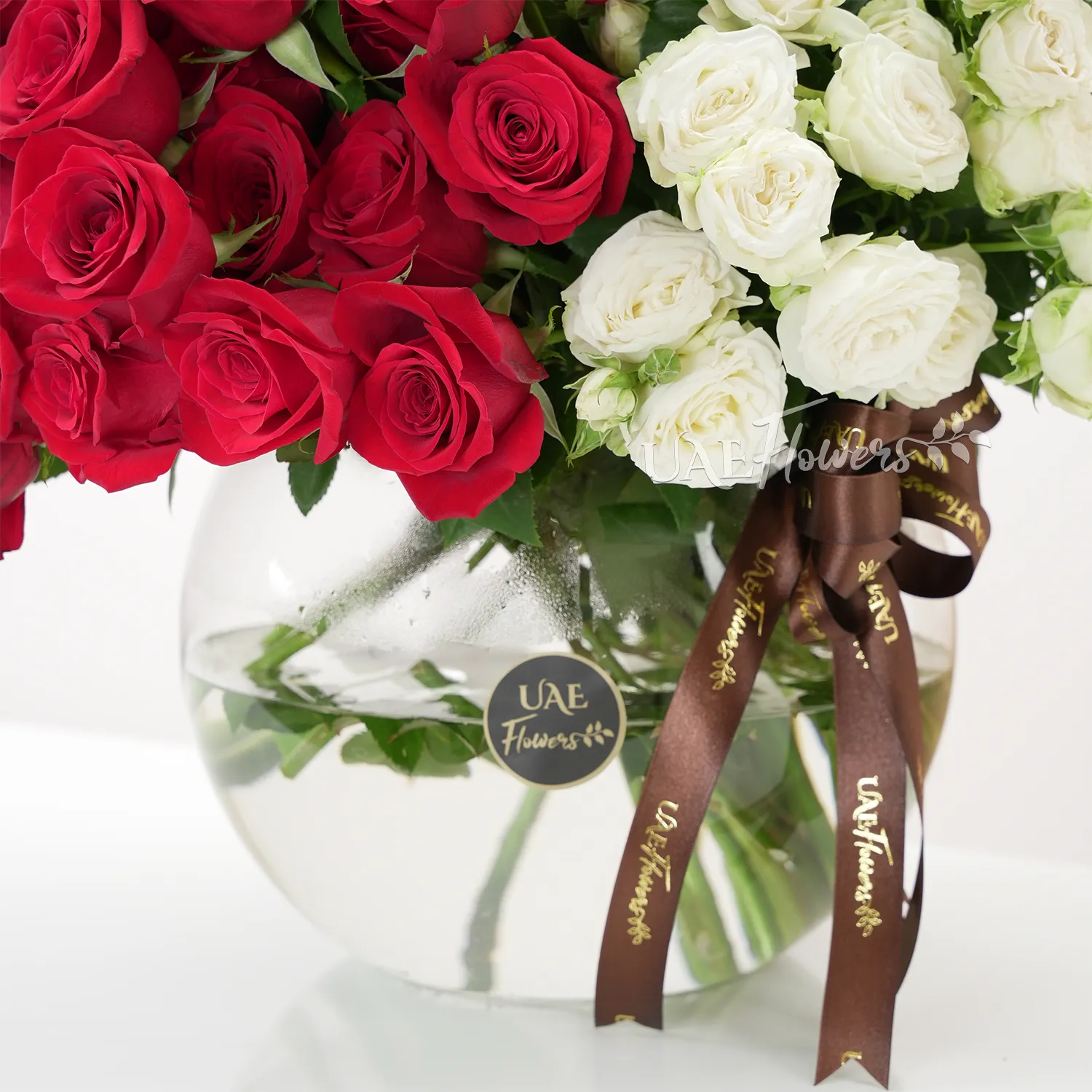 A vase arrangement of 40 red roses and 10 white spray roses with baby's breath and tied with brown ribbons.