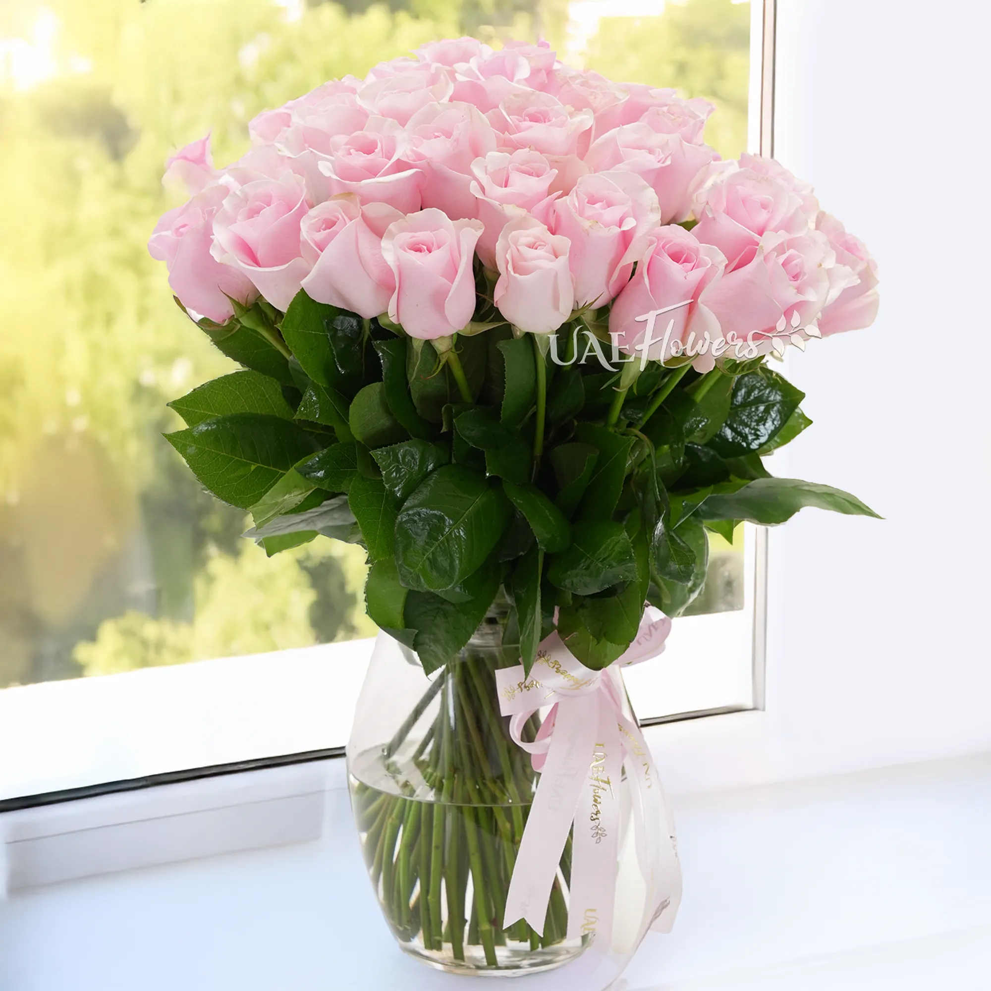 A vase arrangement of 40 pink roses with green fillers tied with pink ribbons.