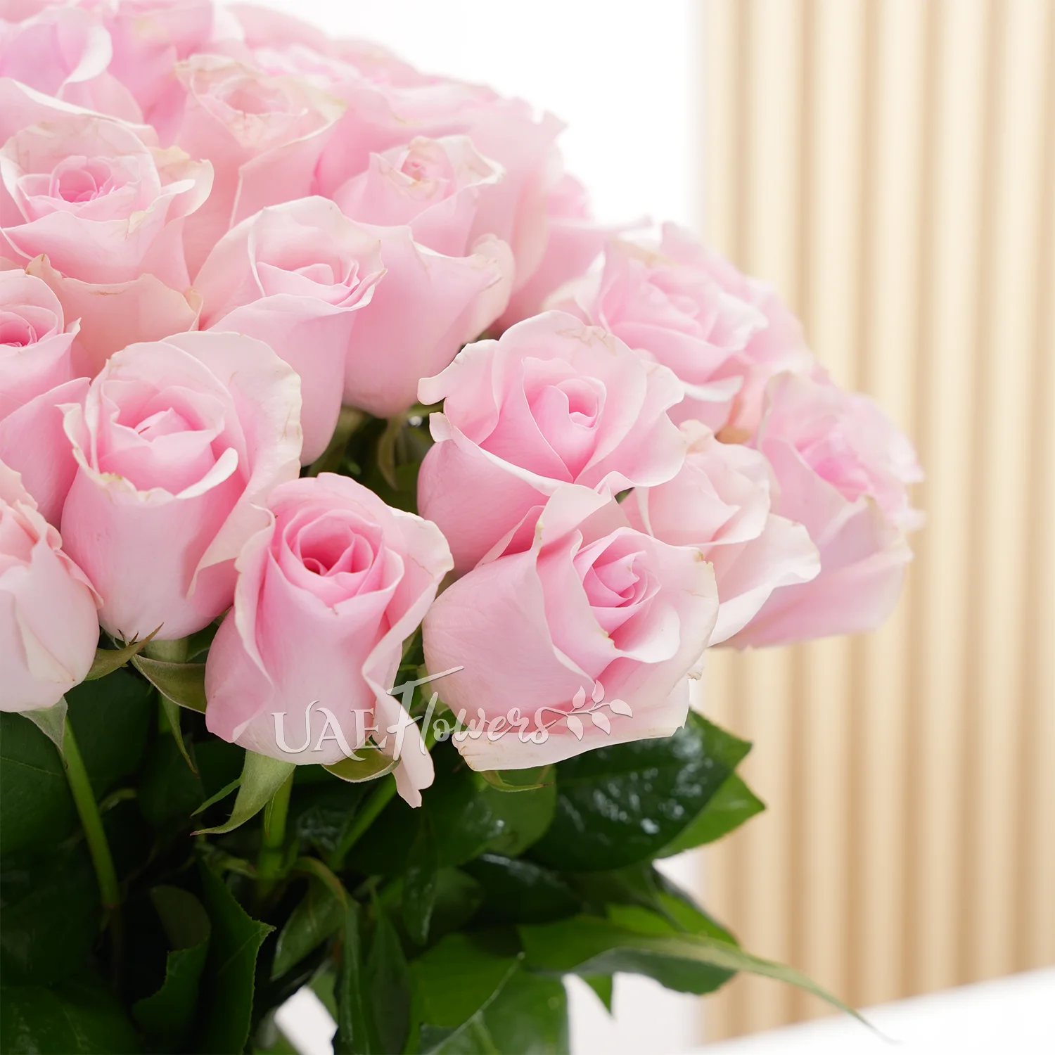 A vase arrangement of 40 pink roses with green fillers tied with pink ribbons.