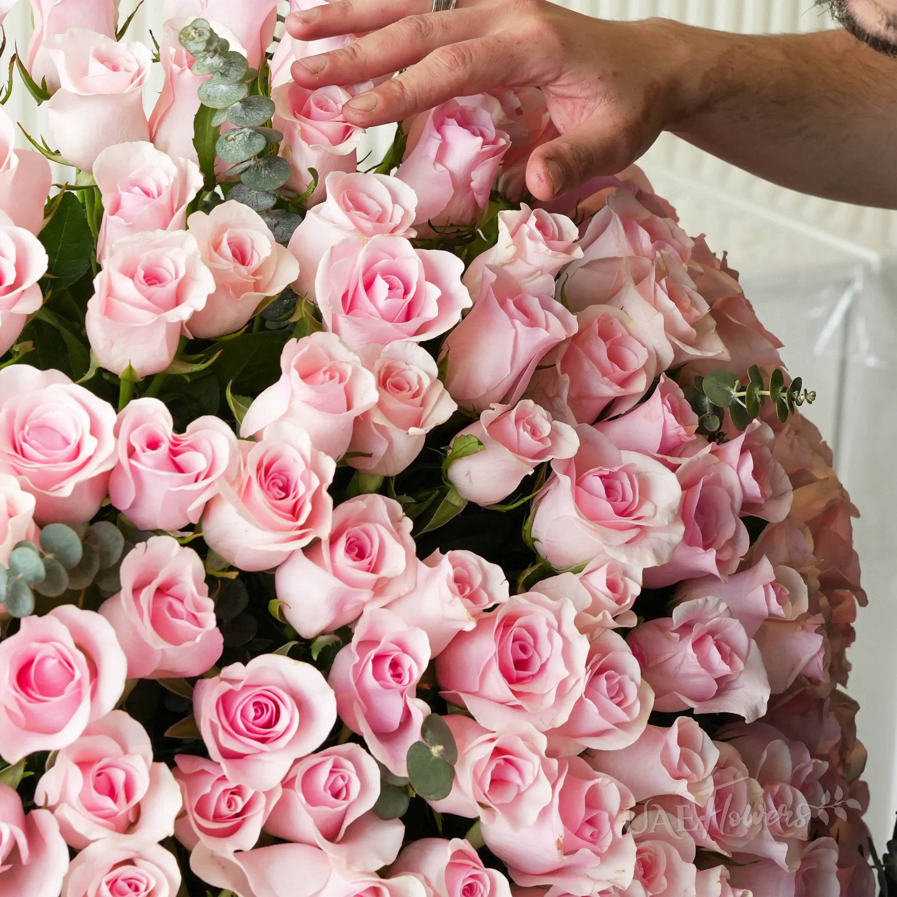 A vase with 200 pink roses with green fillers.