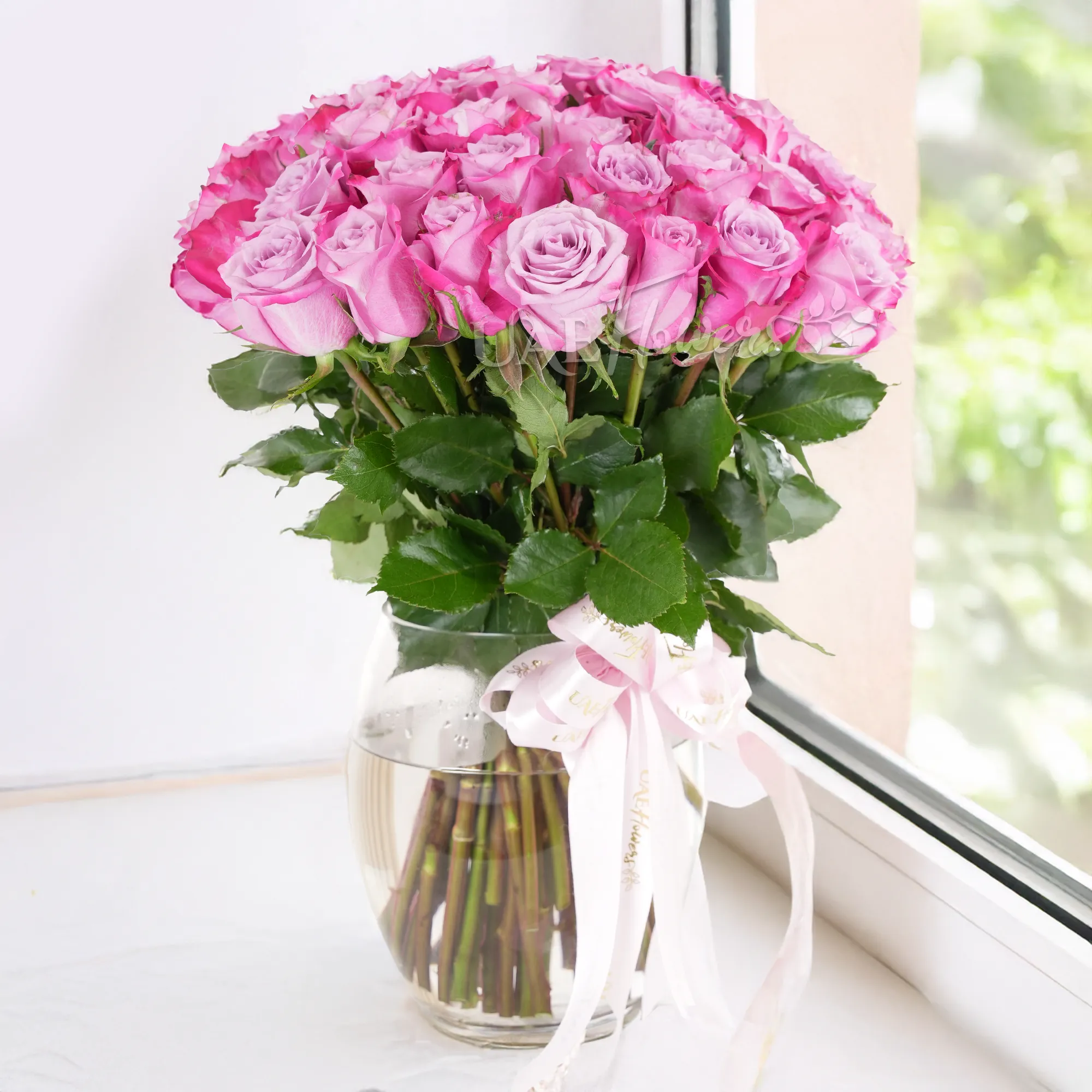 A vase arrangement of 40 purple roses with green filler and tied with pink ribbons.