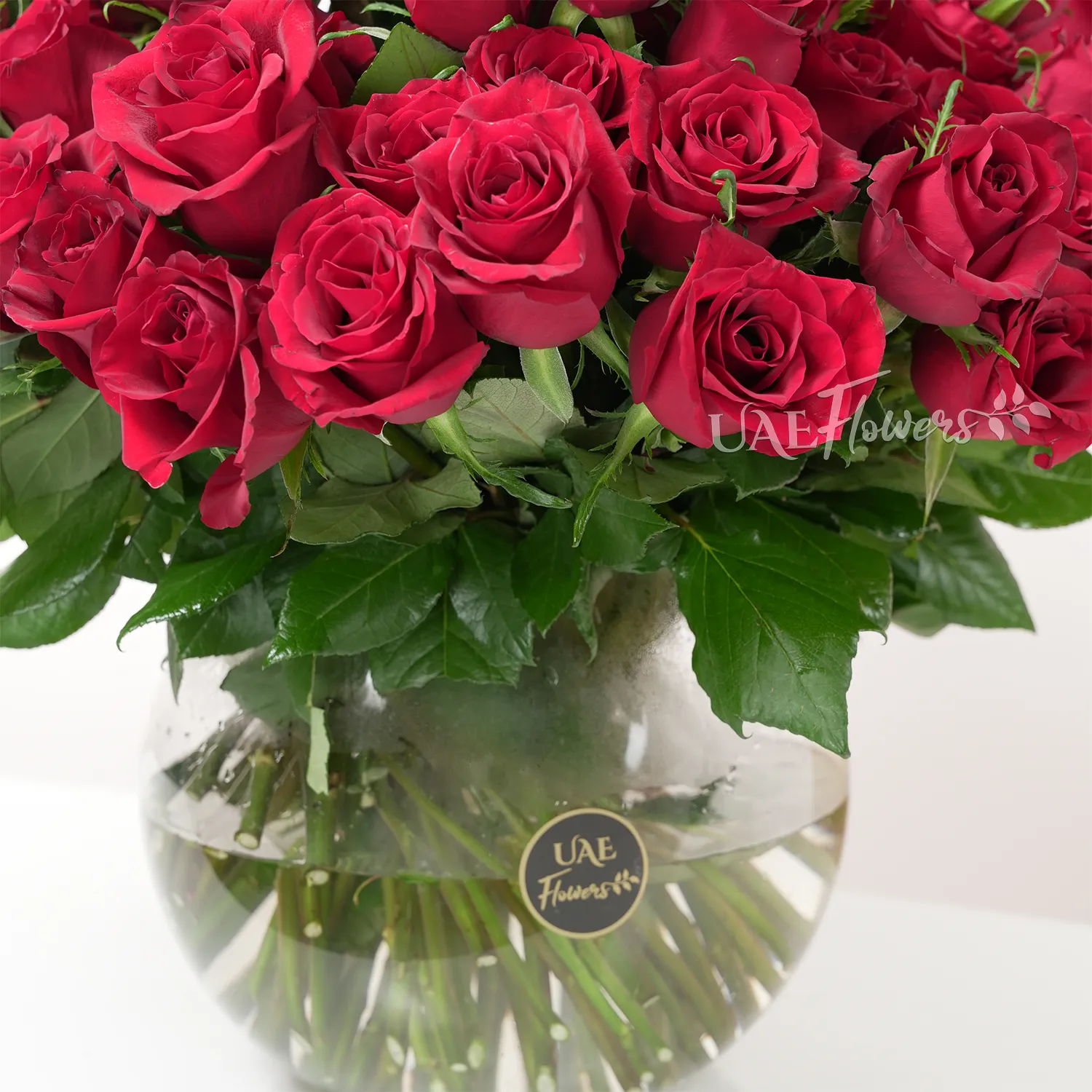 A vase arrangement of 60 red roses with green fillers