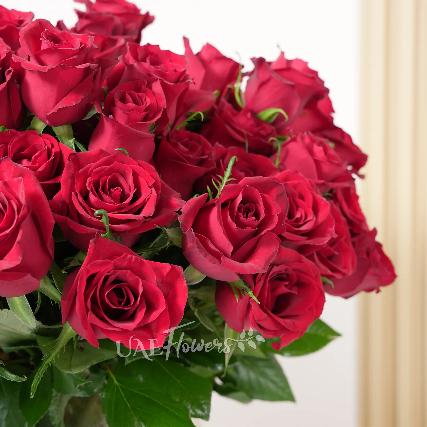 A vase arrangement of 60 red roses with green fillers