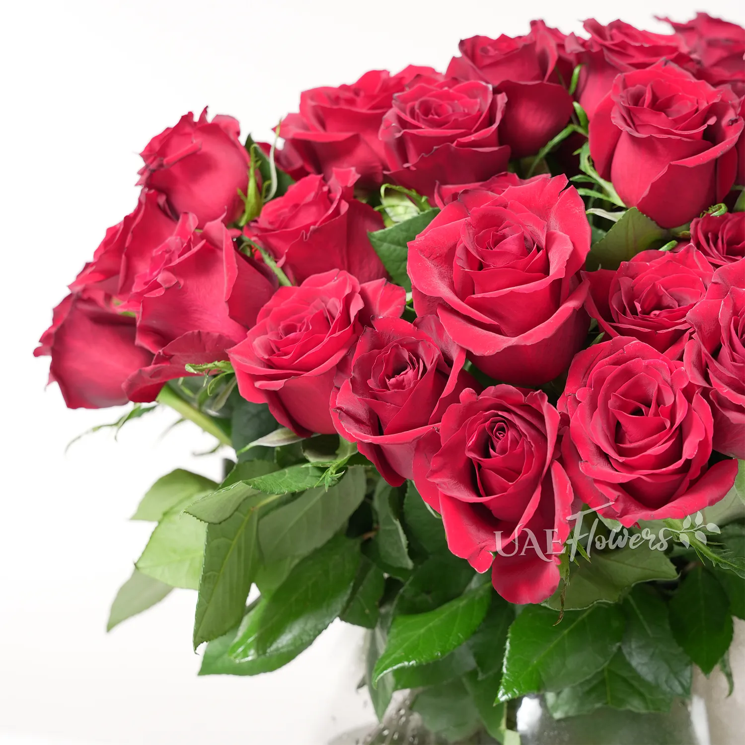A vase arrangement of 60 red roses with green fillers