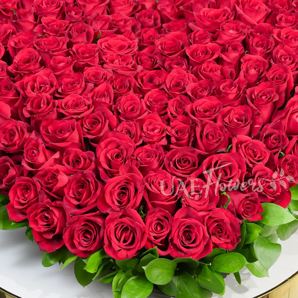 Heart Shaped arrangement of 100 Red Roses with fillers