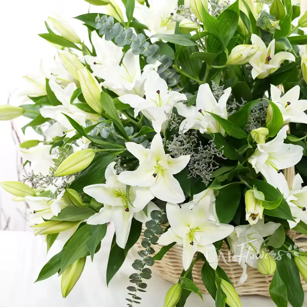 Basket of White Lilies