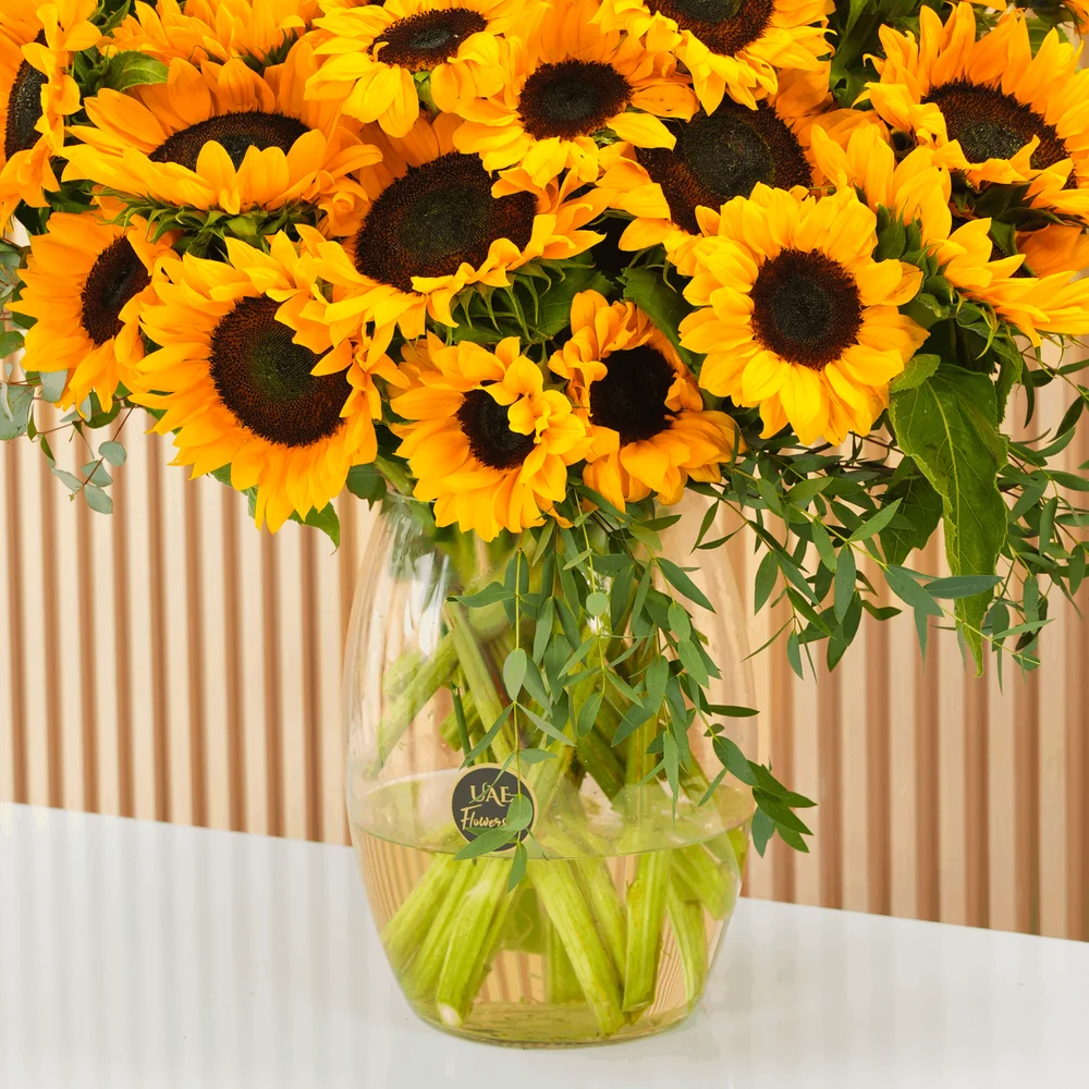 25 stems of bright yellow sunflowers in a glass vase.