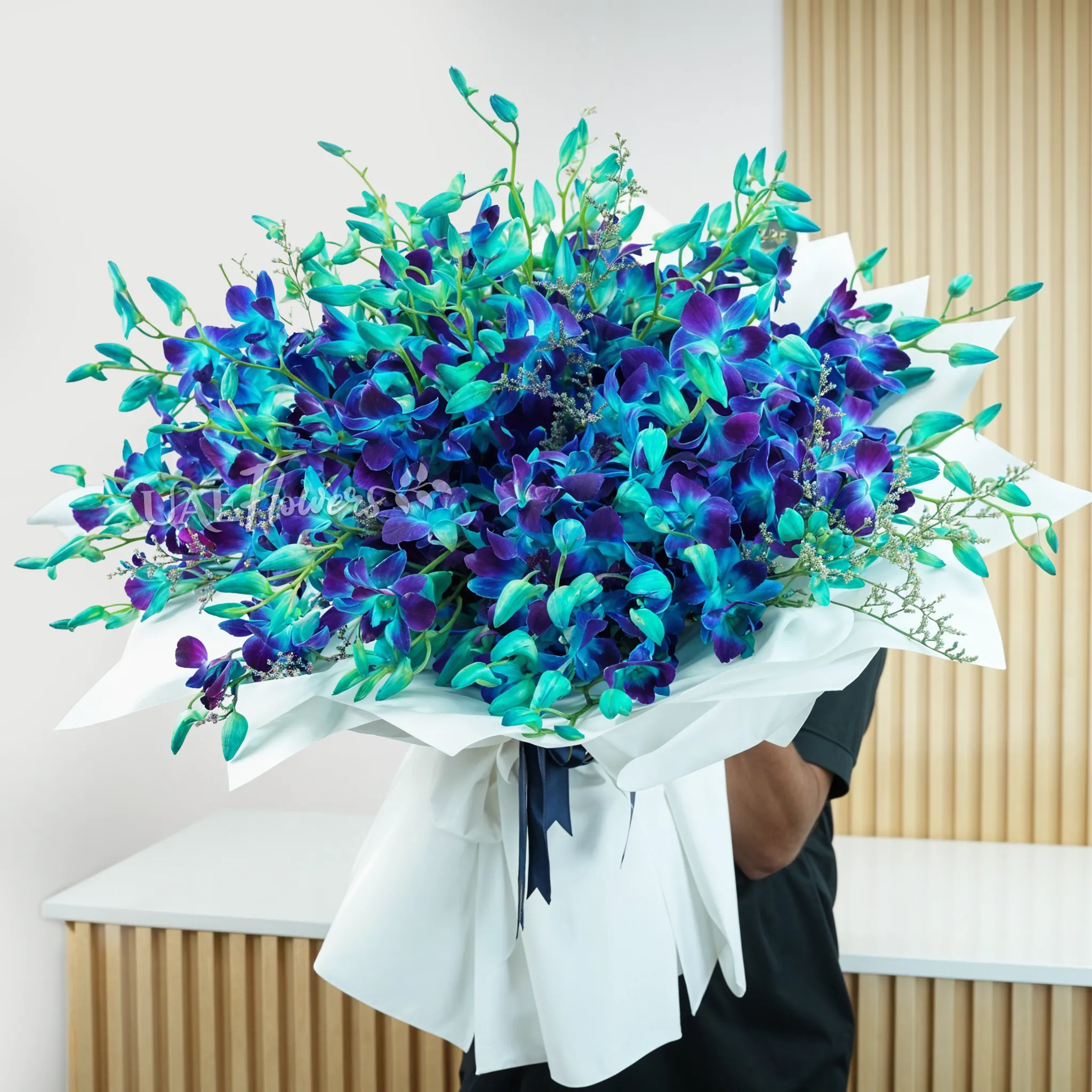 Bouquet of 80 blue orchids with fillers in white wrapping paper tied with blue ribbons.