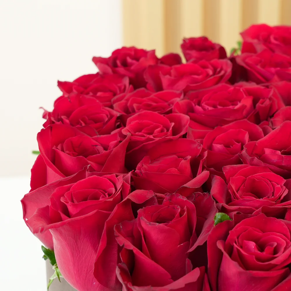 30 red roses with fillers in a round box.