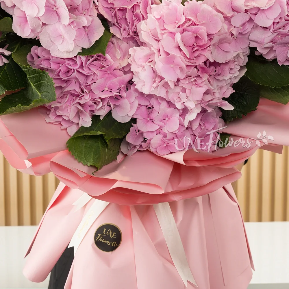 Bouquet of 12 pink hydrangeas with green fillers