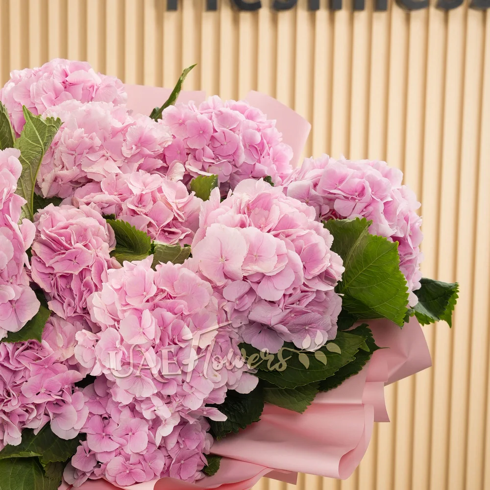 Bouquet of 12 pink hydrangeas with green fillers