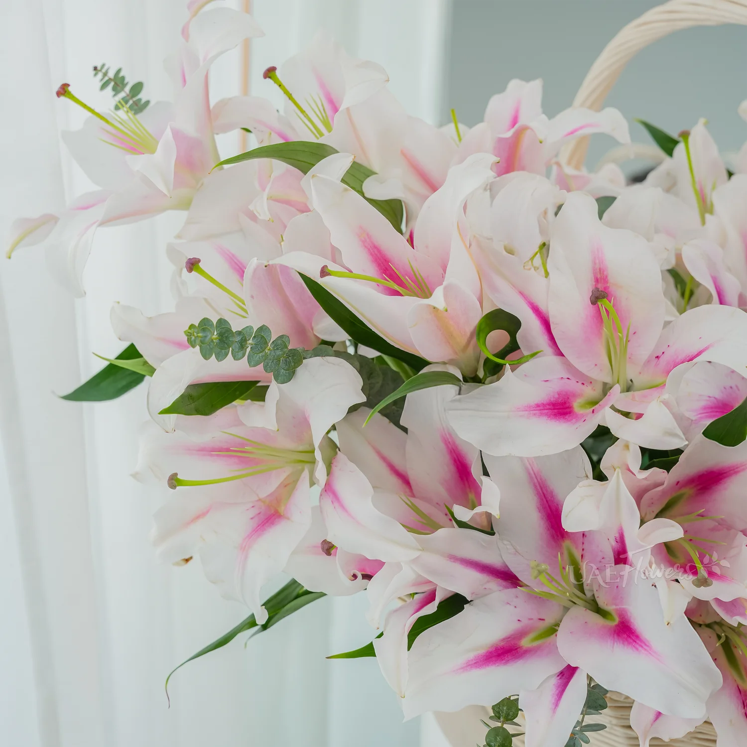 A basket of 30 pink lilies with green fillers.