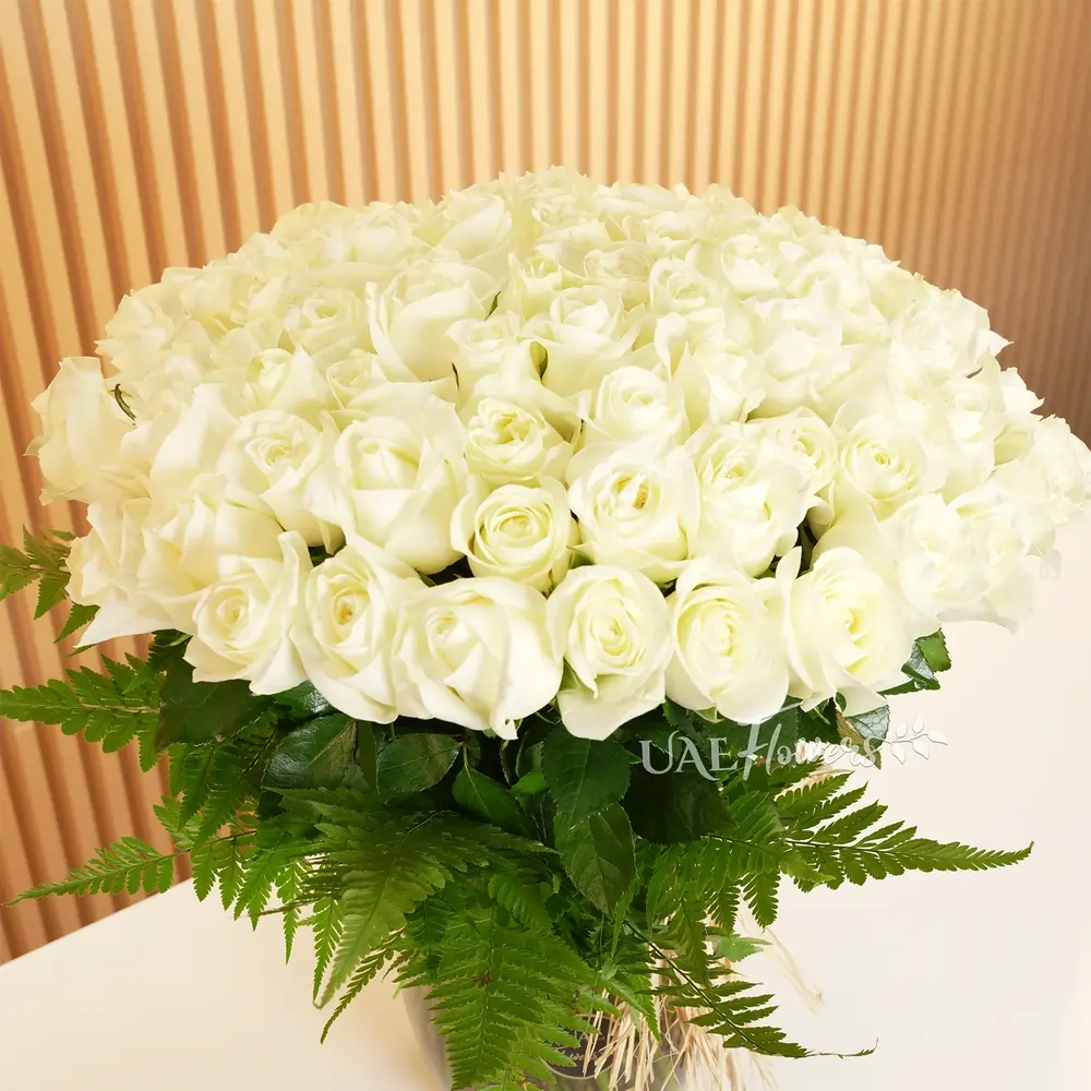 Glass vase of 100 white roses with green fillers