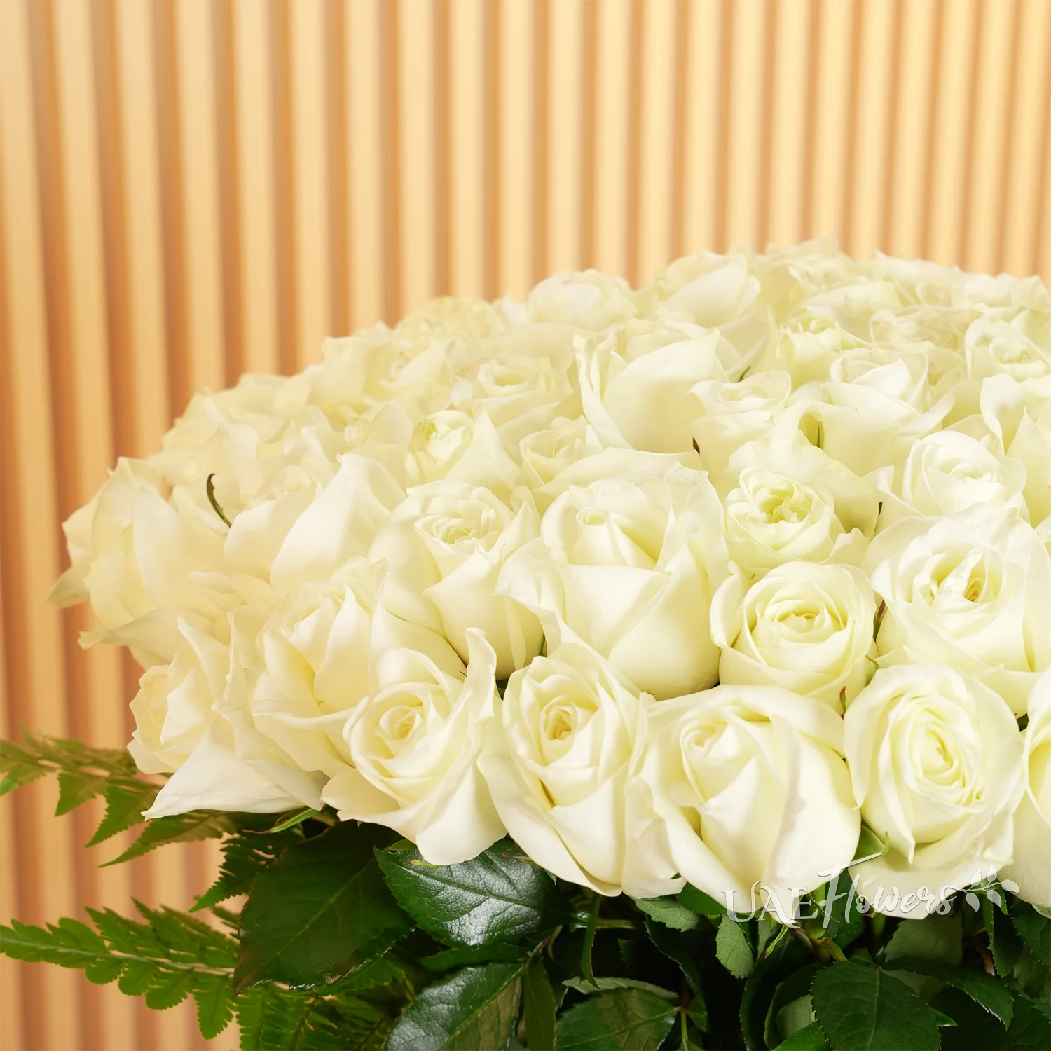 Glass vase of 100 white roses with green fillers