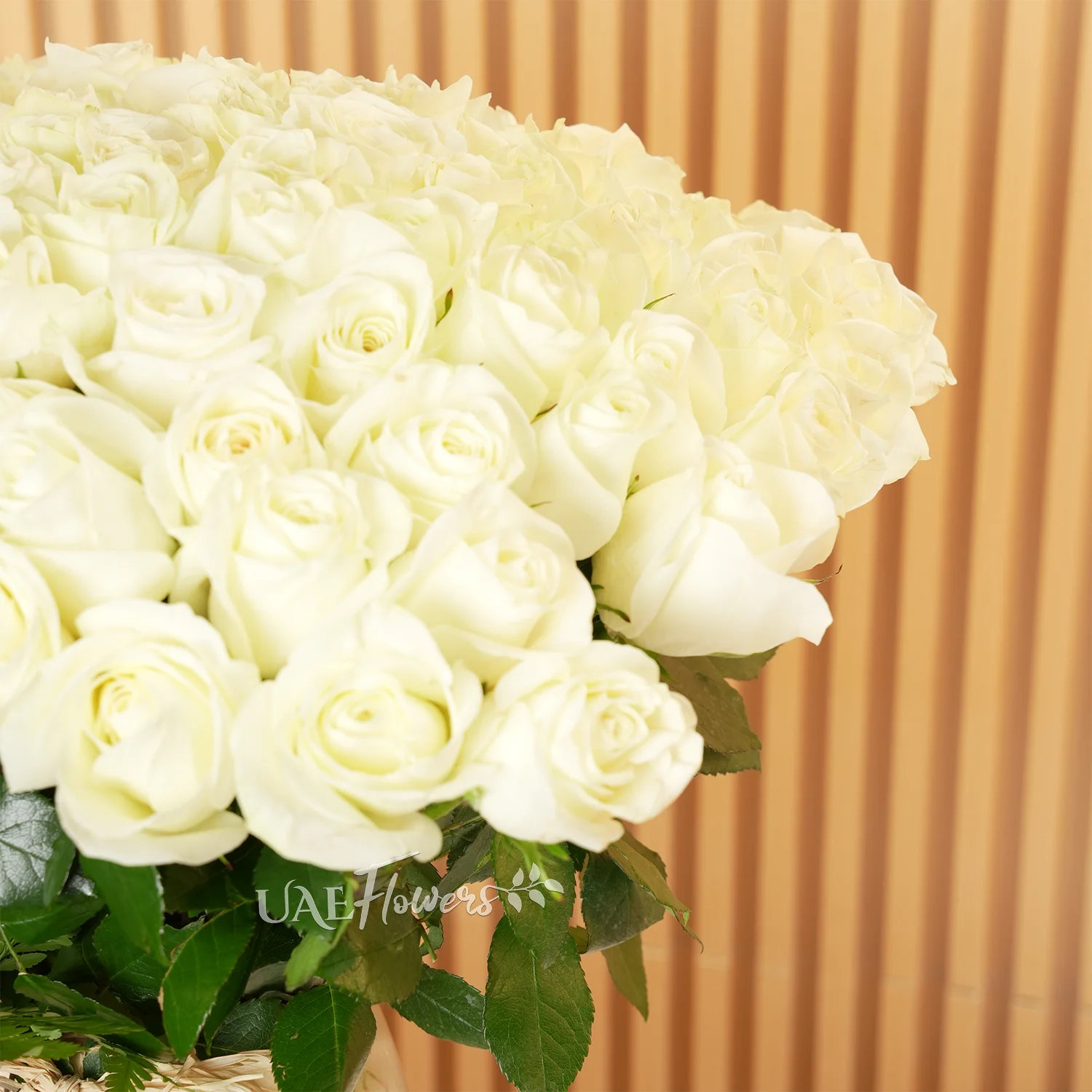 Glass vase of 100 white roses with green fillers