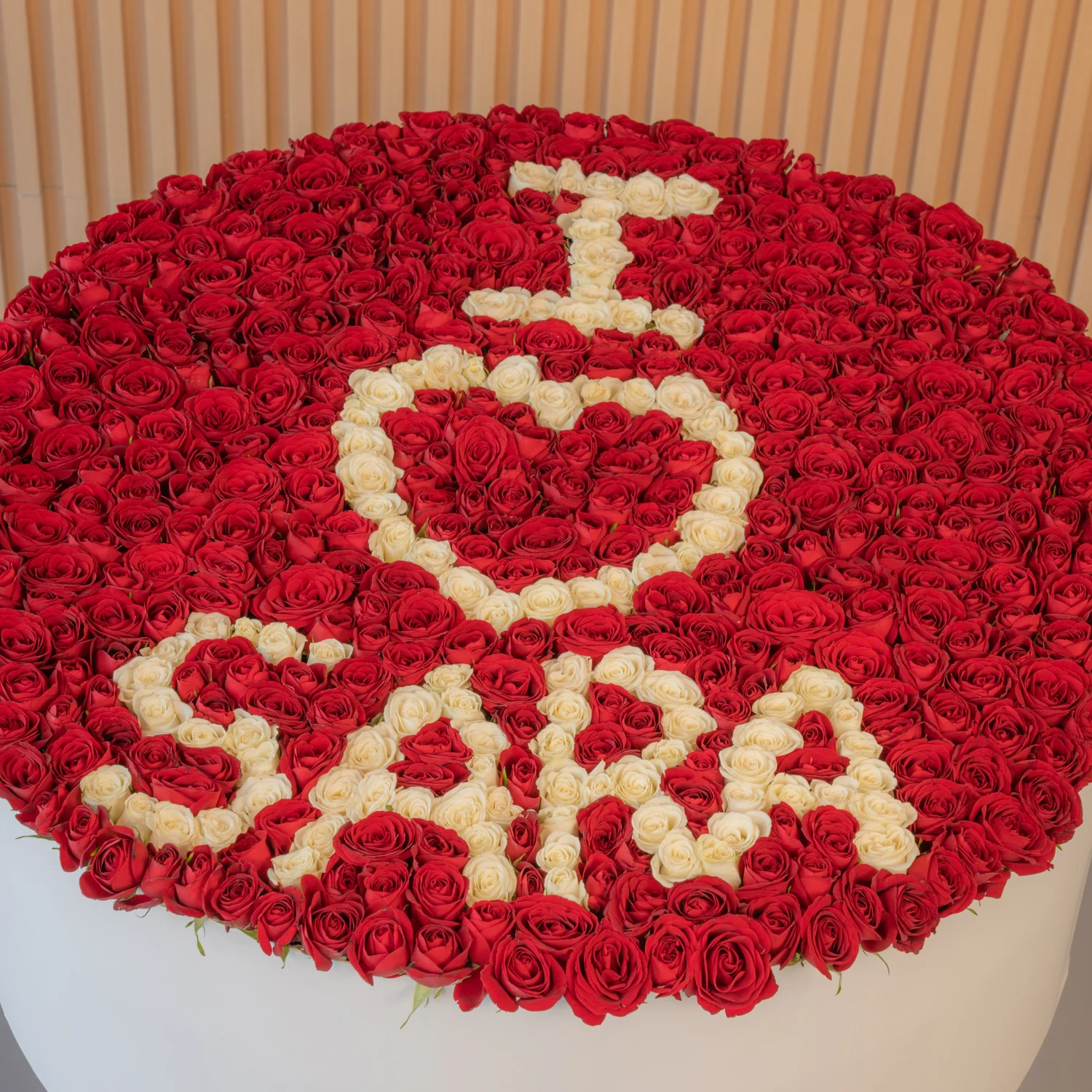 XXXXL box arrangement of 500 buds of red roses & spray roses.