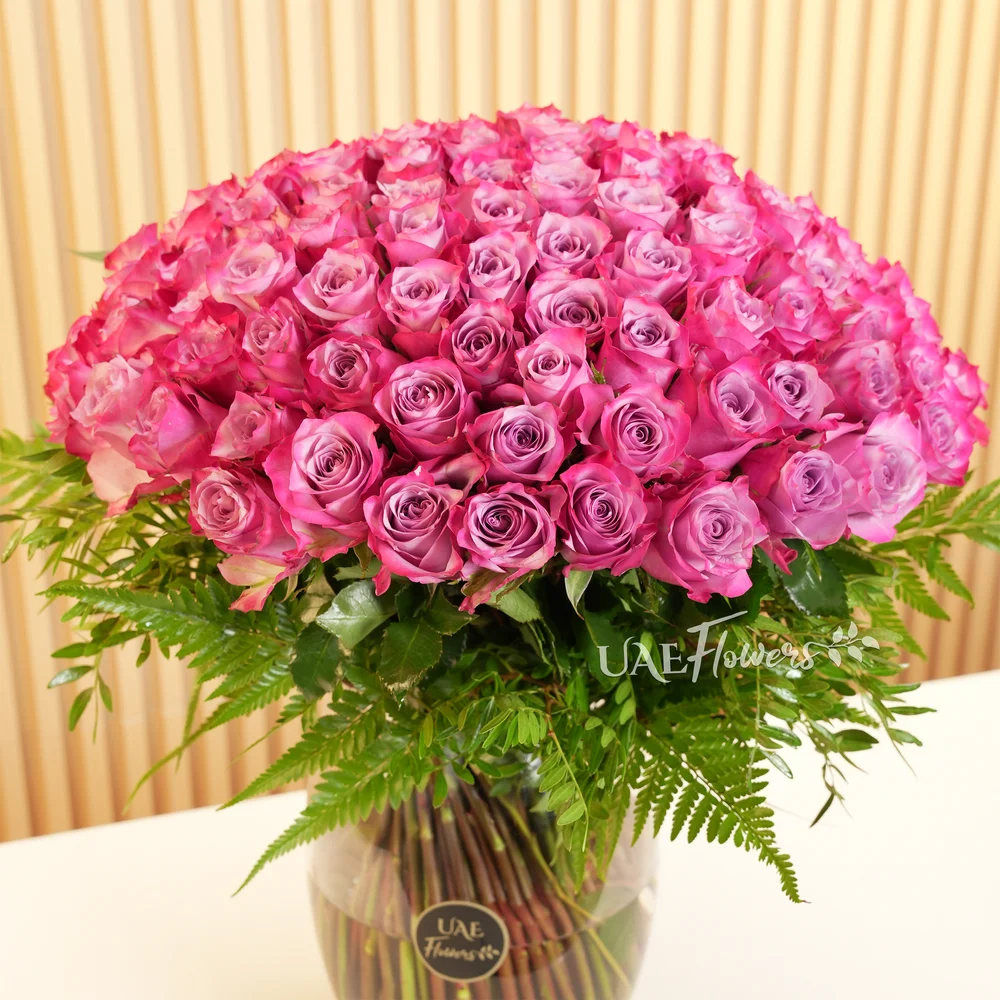 100 Purple Roses with green fillers in a glass vase.