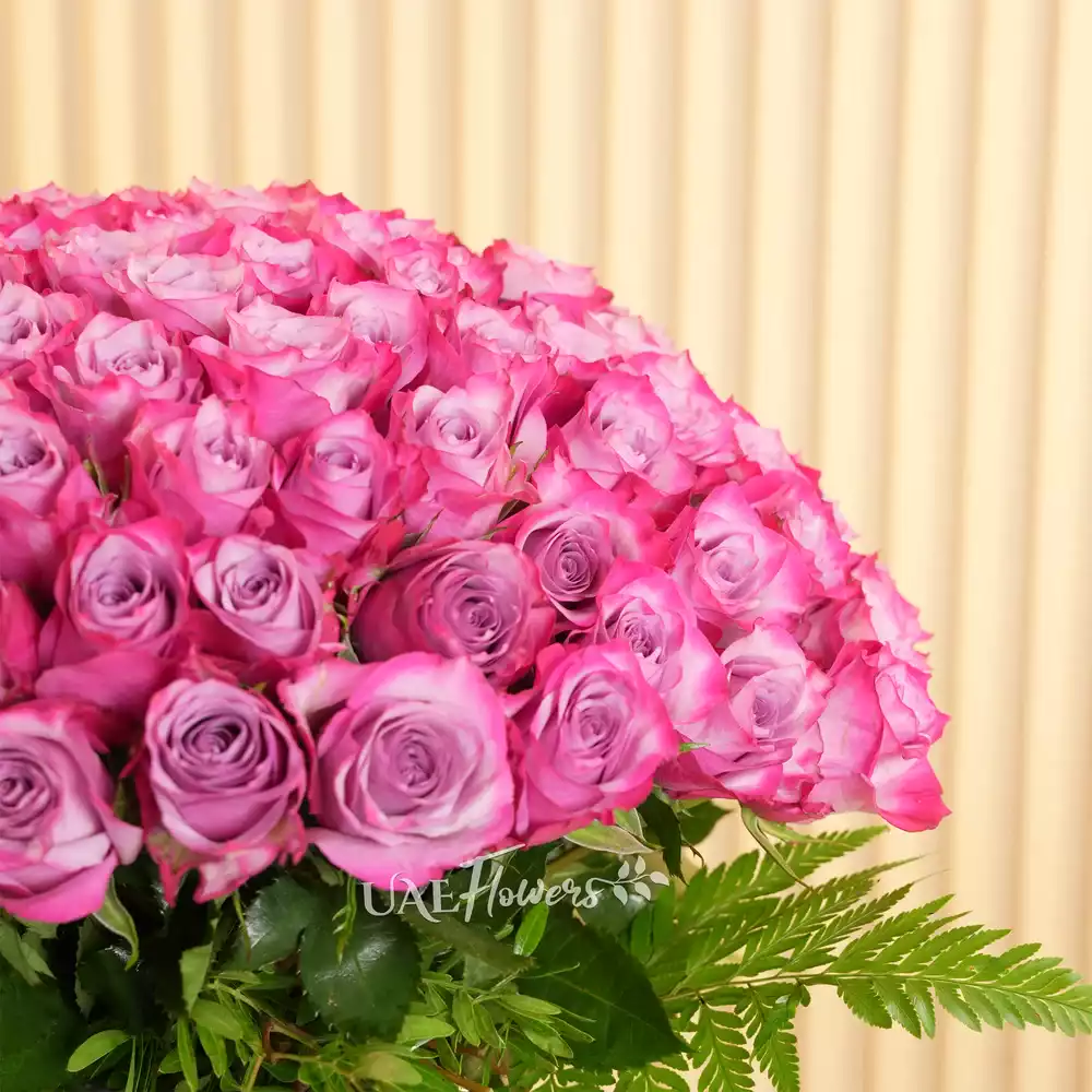 100 Purple Roses with green fillers in a glass vase.