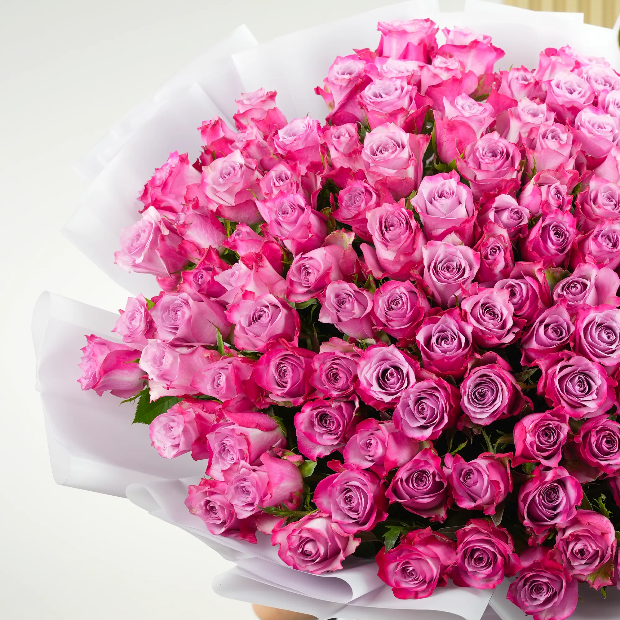 Bouquet of 100 purple roses with fillers in a white wrapping tied with ribbons.