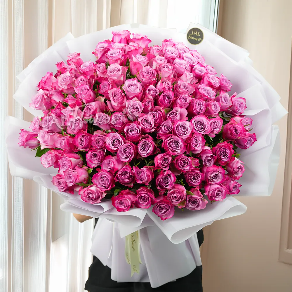 Bouquet of 100 purple roses with fillers in a white wrapping tied with ribbons.