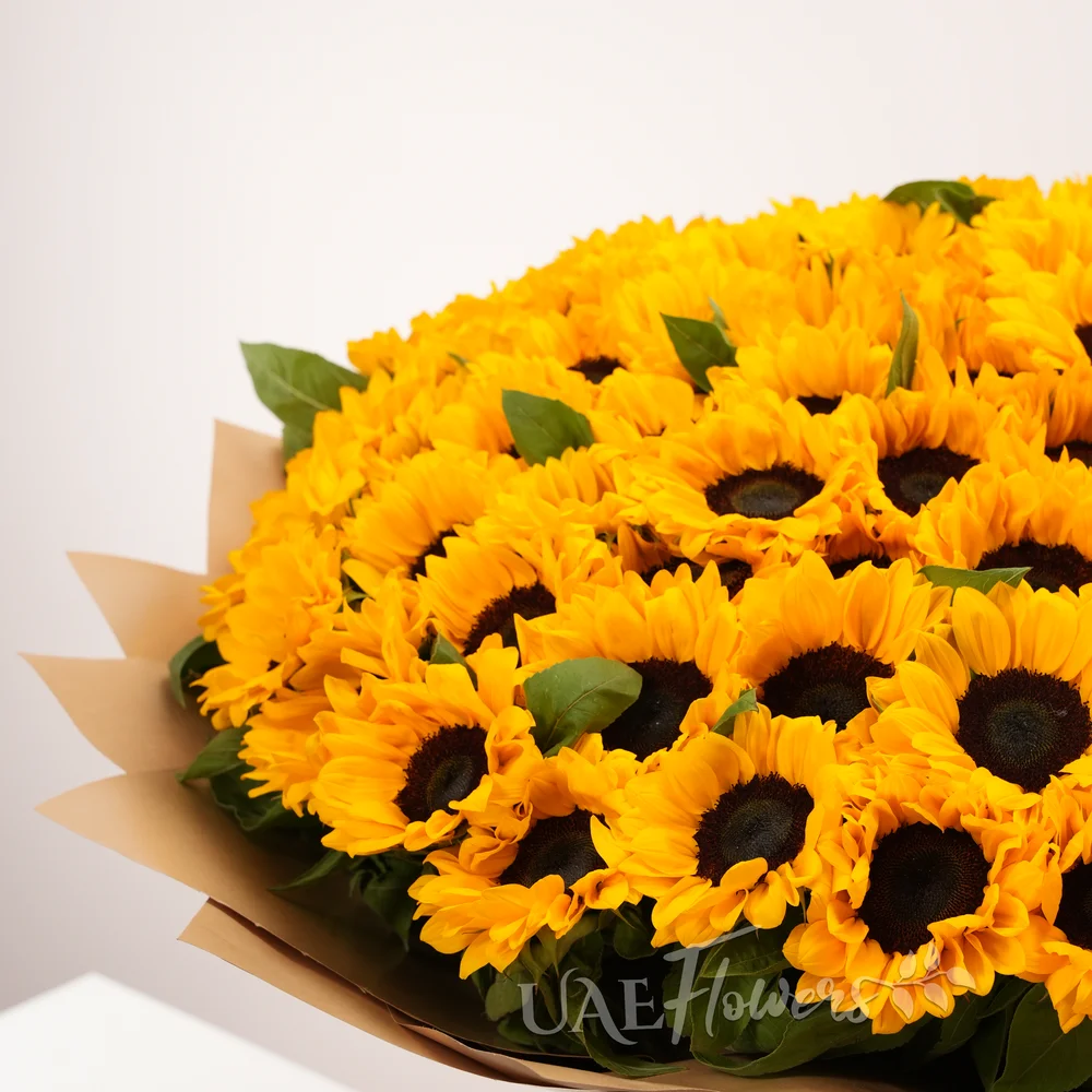 Bouquet of 70 sunflowers with fillers in brown paper packing and tied with ribbons.