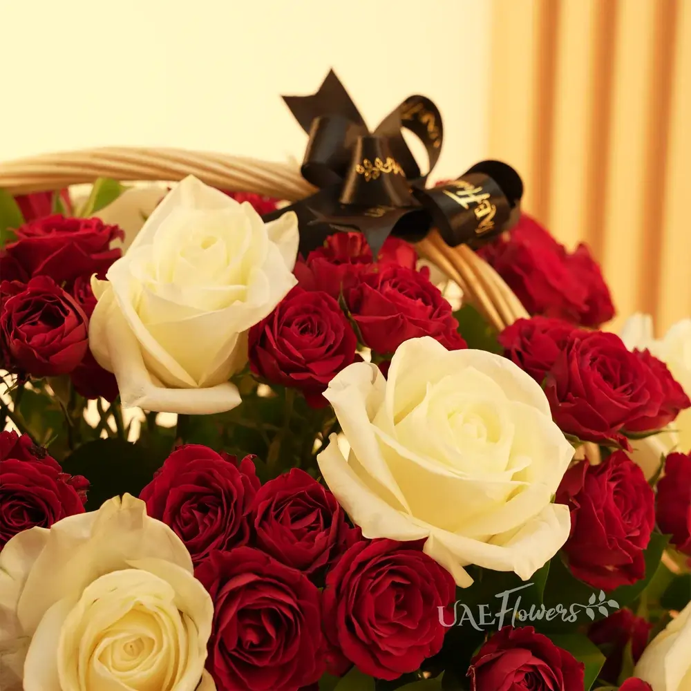 Basket arrangement of 20 white roses and 20 red spray roses and fillers.